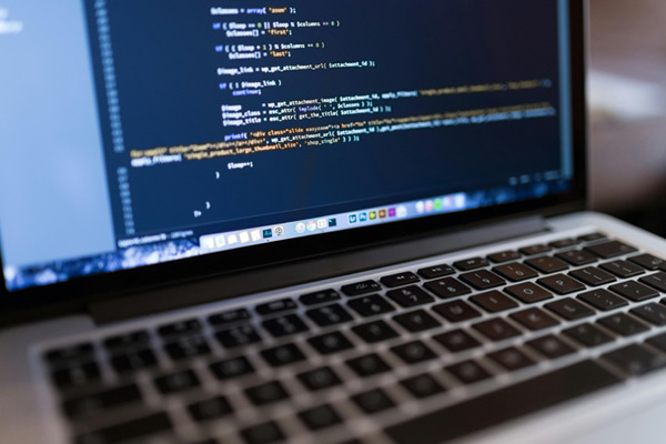 Website Development